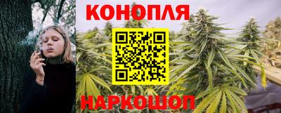 дмт Малгобек