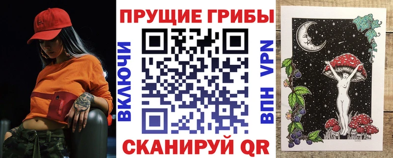 Псилоцибиновые грибы Cubensis где купить Соль-Илецк