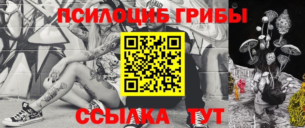 Псилоцибиновые грибы Psilocybine cubensis Соль-Илецк