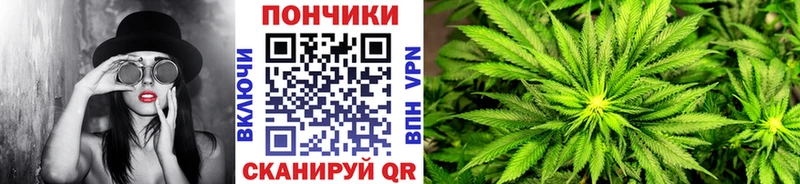 как найти закладки  Соль-Илецк  Каннабис индика 